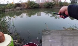 农村野钓视频,捕捉自然之美，享受宁静时光